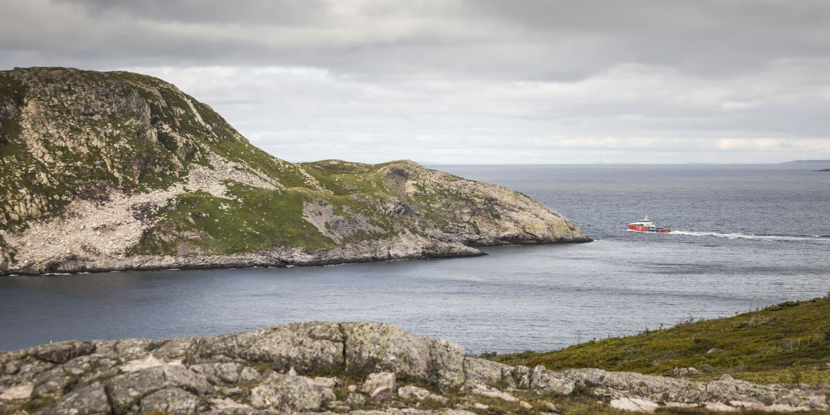 Anse à Henry sentier Tourisme Saint Pierre et Miquelon