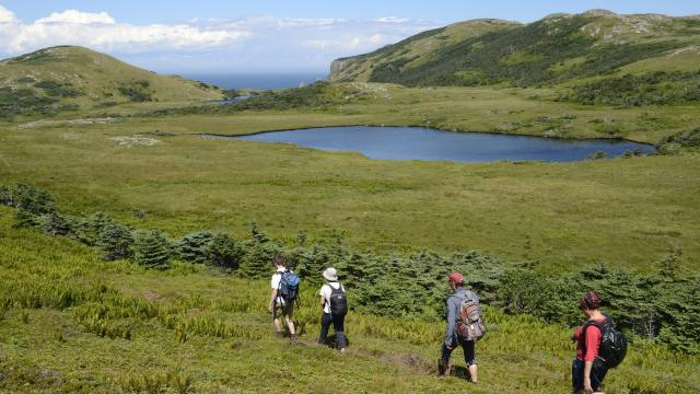 Eco Balade dans le Cap de Miquelon proposé par la Maison de la Nature et de l'Environnement, avec le guide MNE, le 31 juillet 2016 