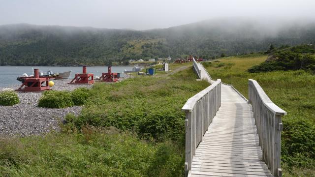 Anse du gouvernement, île de Langlade, le 27 juillet 2016 