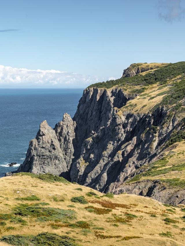 Mathieu Dupuis, Saint-Pierre et Miquelon 2021