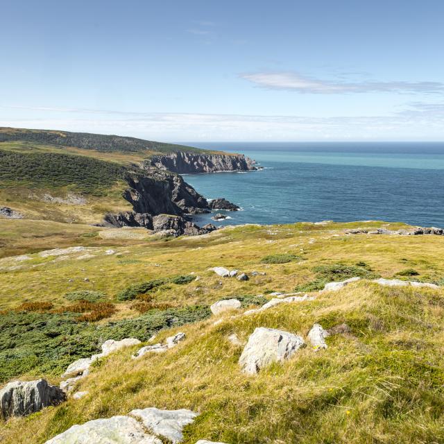 Mathieu Dupuis, Saint-Pierre et Miquelon 2021