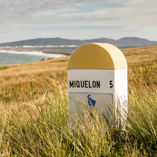 Mathieu Dupuis, Saint-Pierre et Miquelon 2021