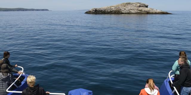 Excursion en mer, à bord du bateau 