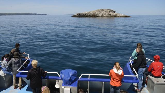 Excursion en mer, à bord du bateau 