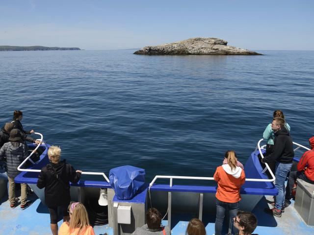 Excursion en mer, à bord du bateau 