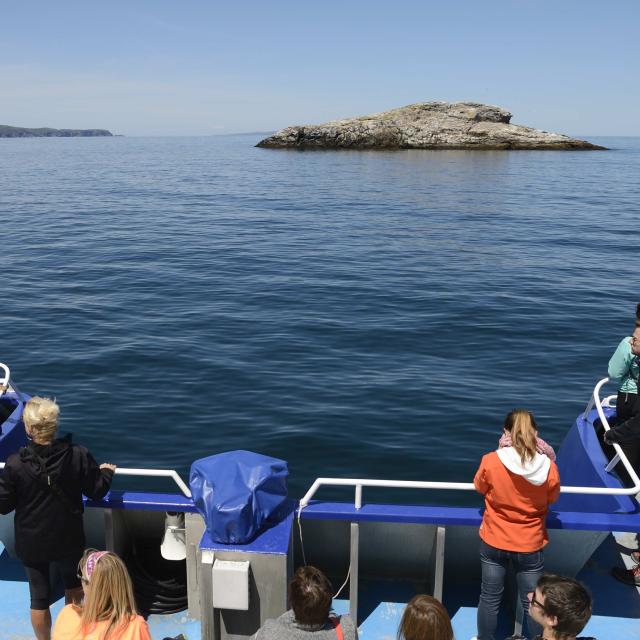 Excursion en mer, à bord du bateau 