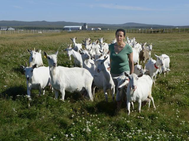 Portrait de Leila Méliani, élevage de chèvres et fabrication de fromages à Miquelon, le 1 août 2016 