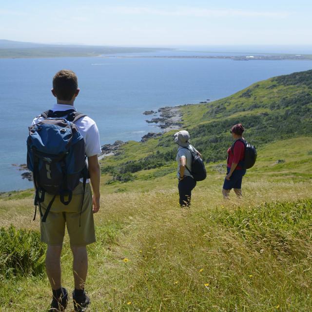 Eco Balade dans le Cap de Miquelon proposé par la Maison de la Nature et de l'Environnement, avec le guide MNE, le 31 juillet 2016 