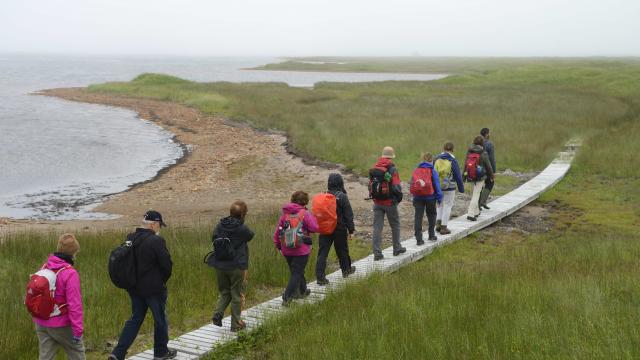 Eco-balade organisée par le CRT pour un groupe de randonneurs québéquois Rando Plein air de Montréal, découverte du milieu naturel, Grand Barachois, Isthme, Langlade et le village de Miquelon, le 19 juillet 2016 