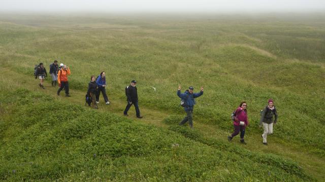 Eco-balade organisée par le CRT pour un groupe de randonneurs québéquois Rando Plein air de Montréal, découverte du milieu naturel, Grand Barachois, Isthme, Langlade et le village de Miquelon, le 19 juillet 2016 