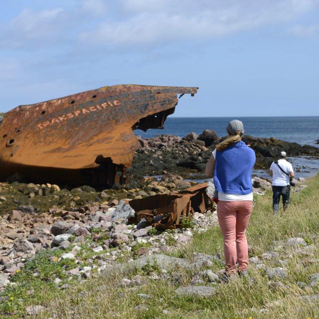 Ile aux marins, à proximité de la ville de Saiint-Pierre, le 4 août 2016 