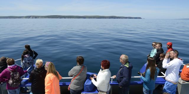 Excursion en mer, à bord du bateau 