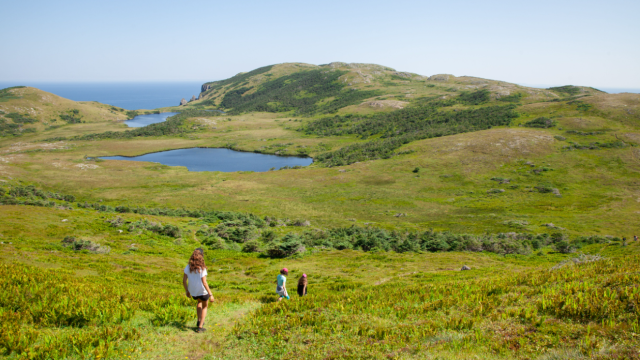 Miquelon Ecobalade