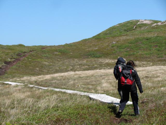 Buttes dégarnies 2