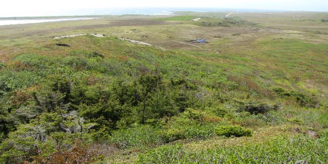 Buttes dégarnies 3