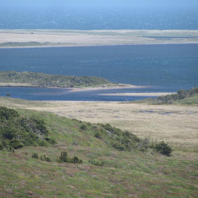 Buttes dégarnies 7