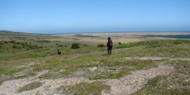 Buttes dégarnies 1