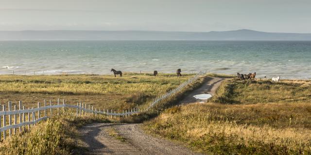 Ile aux marins sentier 6