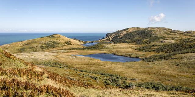 Cap de Miquelon 1