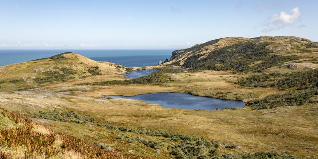 Cap de Miquelon 3