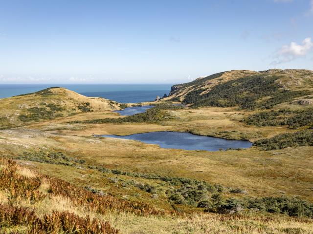 Cap de Miquelon 3