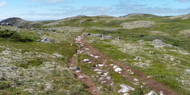 Conduites Vigie-Goéland 6