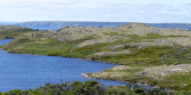 Conduites Vigie-Goéland 5