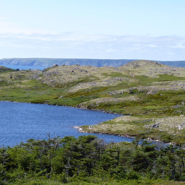 Conduites Vigie-Goéland 5