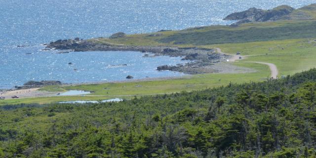 Conduites Vigie-Goéland 3