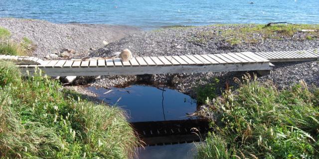 Anse aux soldats 5