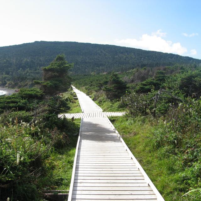 Anse aux soldats1