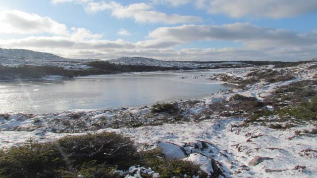 Étang télégraphe neige