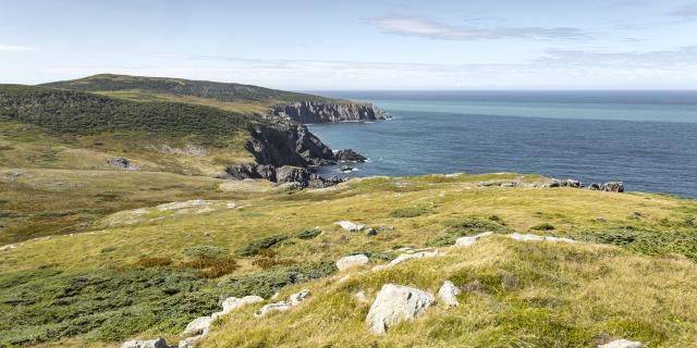 Cap de Miquelon 2